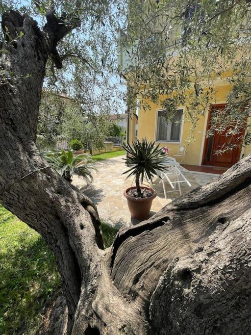 Casetta Mia - Holiday Family House SantʼArcangelo di Romagna Extérieur photo