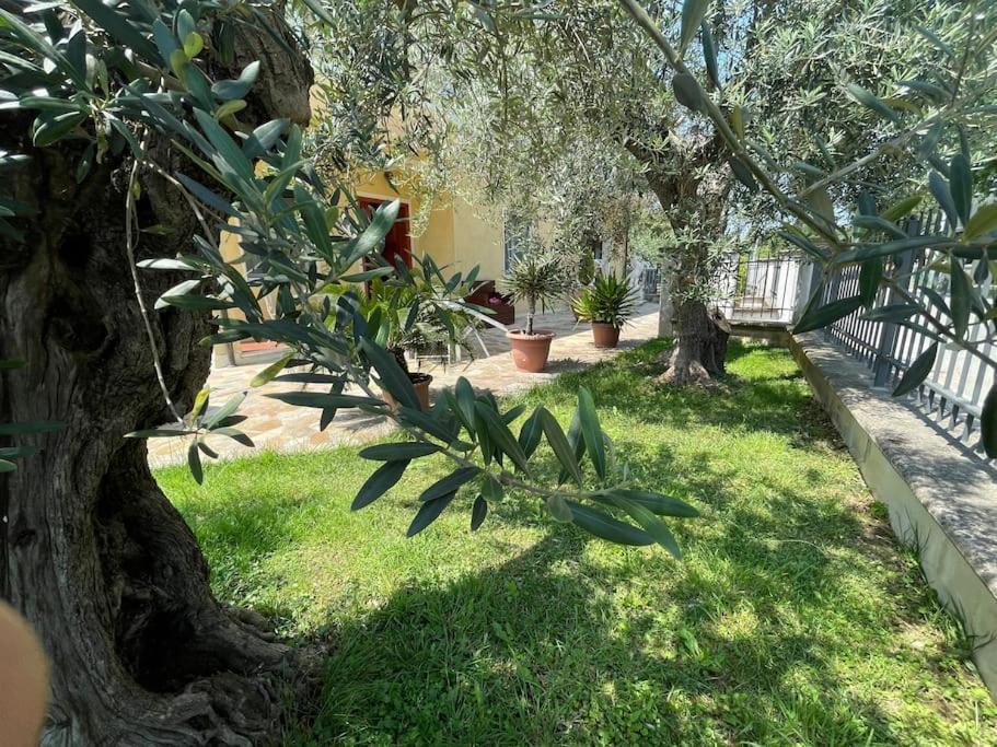 Casetta Mia - Holiday Family House SantʼArcangelo di Romagna Extérieur photo